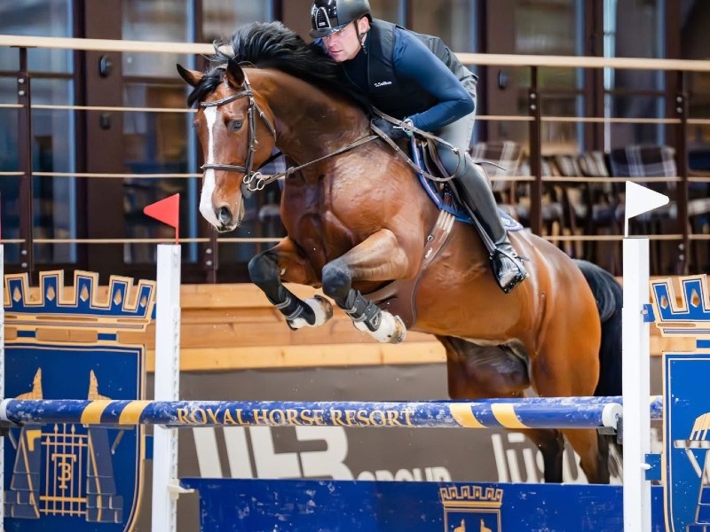 Pina Colada De Goedereede profile photo