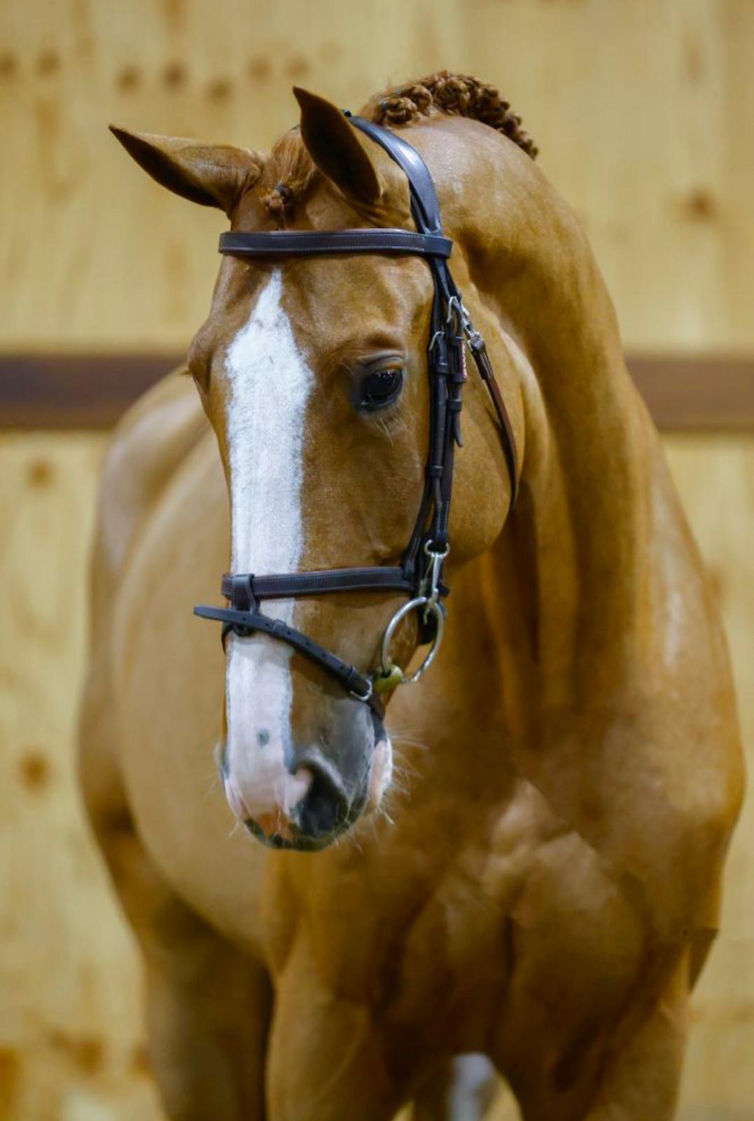 Sony Boy de Lazerou profile photo 