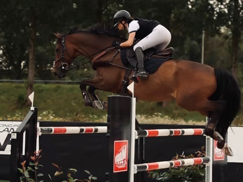 Kirwan SB profile photo 