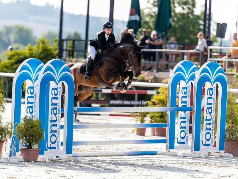 Island profile photo 