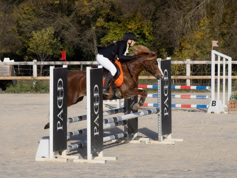 I Dream D'equitrot profile photo 