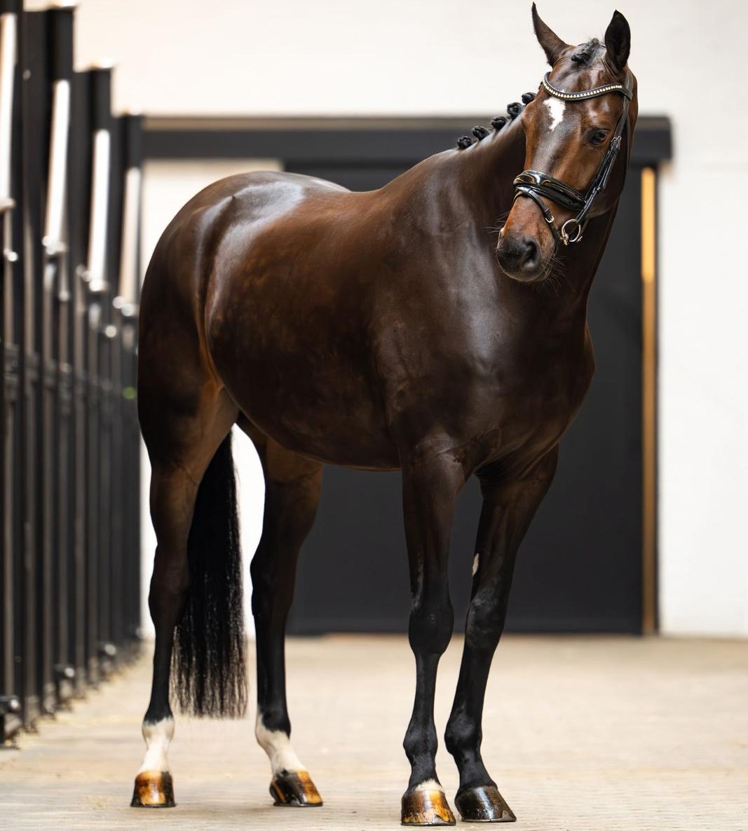 Daddy Cool profile photo 