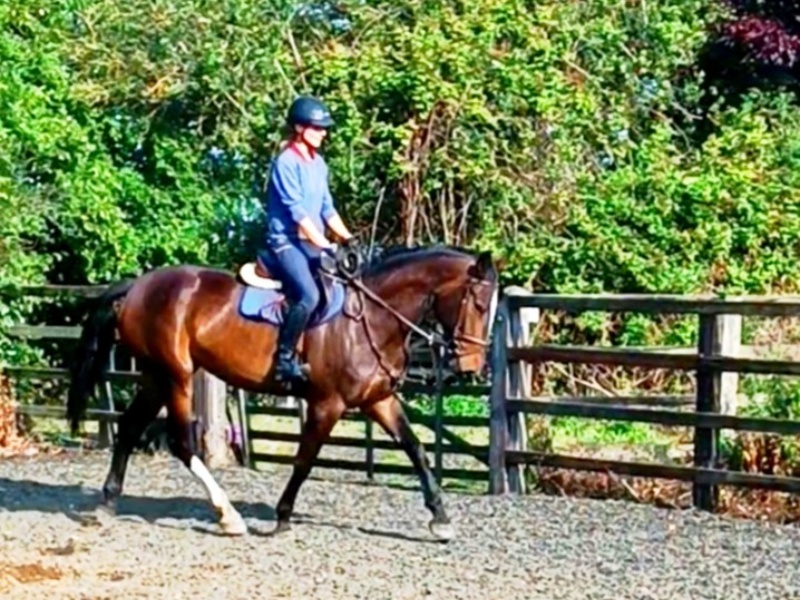 Chaccoro profile photo 