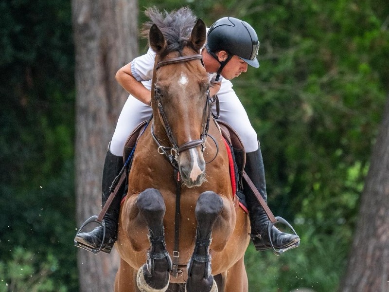 Pallieter vd Bisschop profile photo