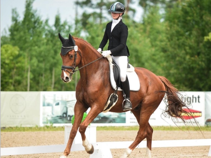 Amazing at Once profile photo