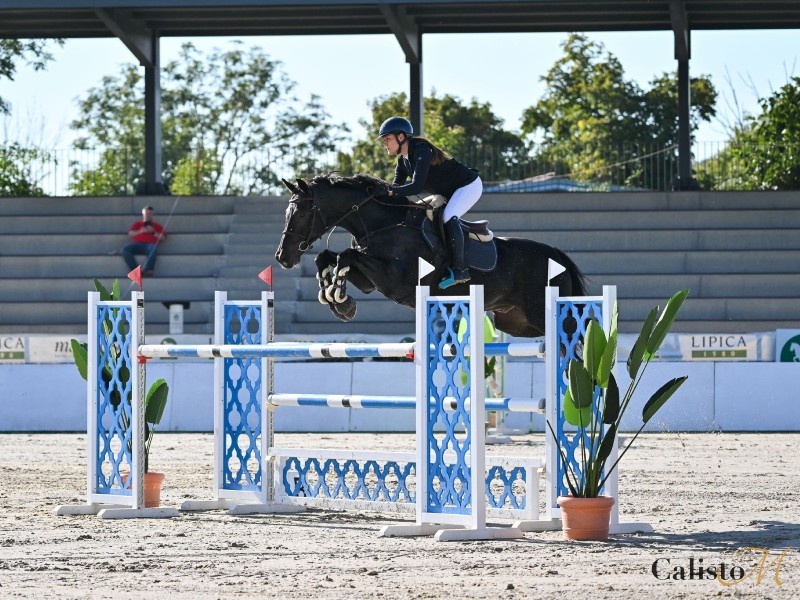 Callay profile photo 