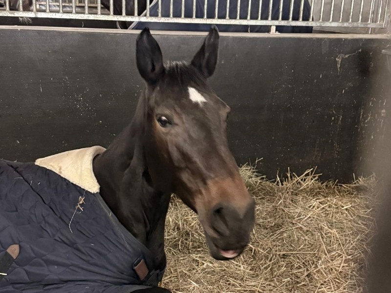 Khianula N-G profile photo 