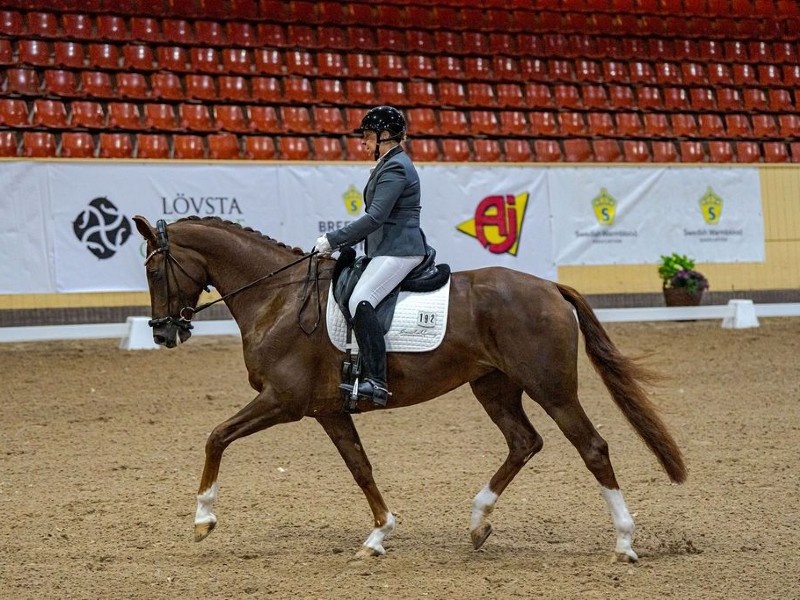 Vita Beach profile photo 