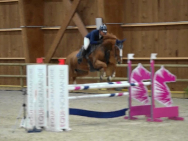 Happy D'antilly profile photo 