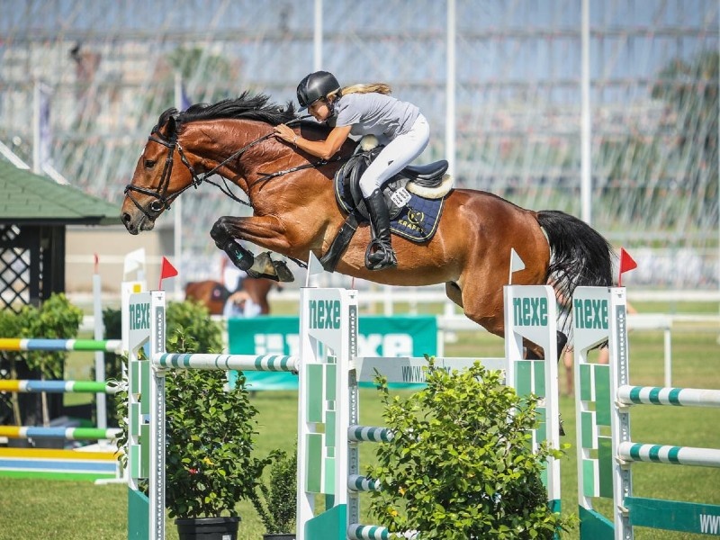 Salidor VDF profile photo