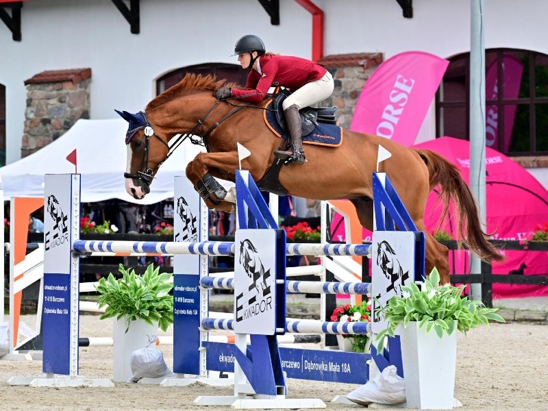 Trico Van De Leeuwerk profile photo 