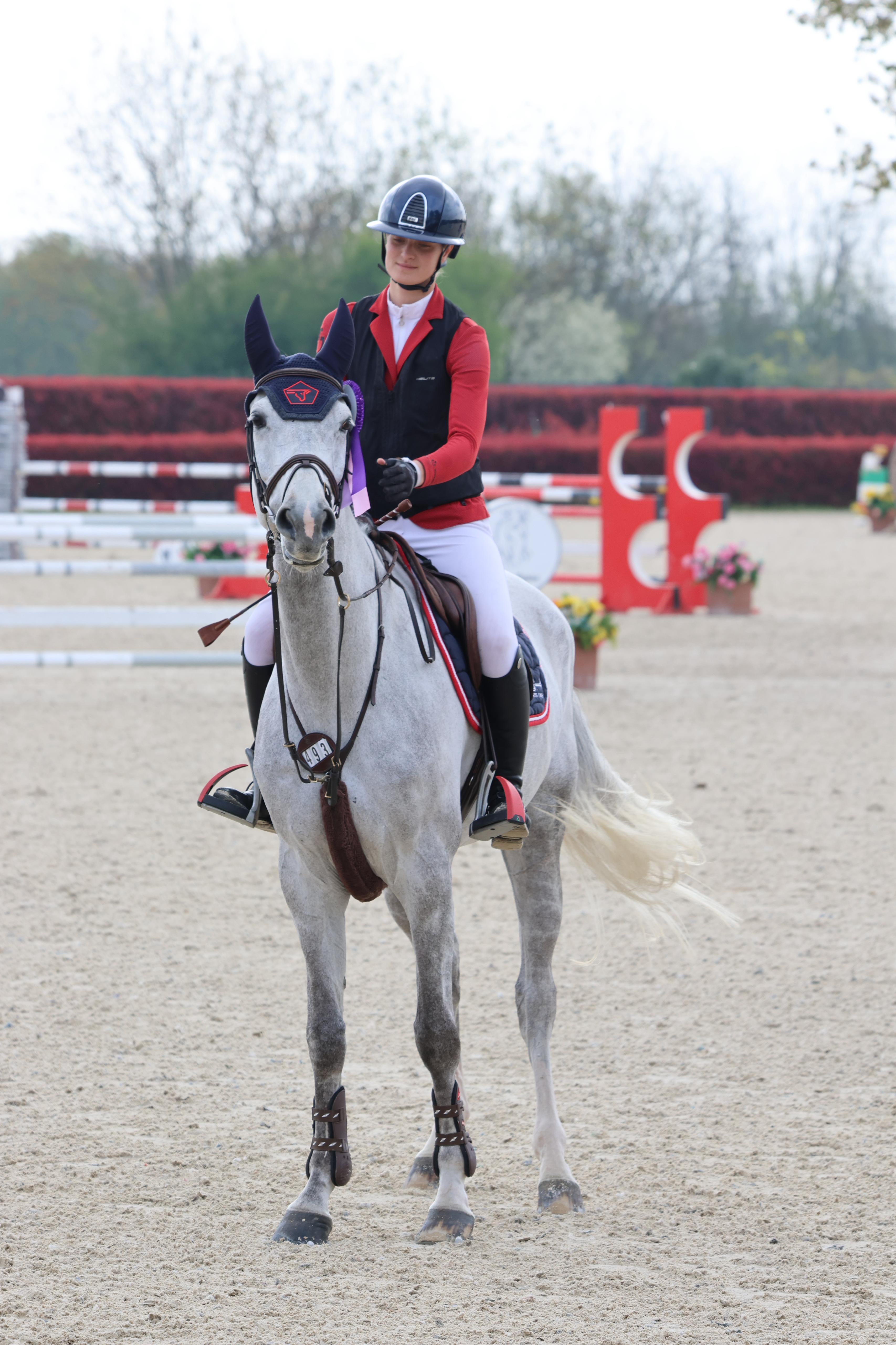 Naughty Girl V/d Edcohoeve Z profile photo 