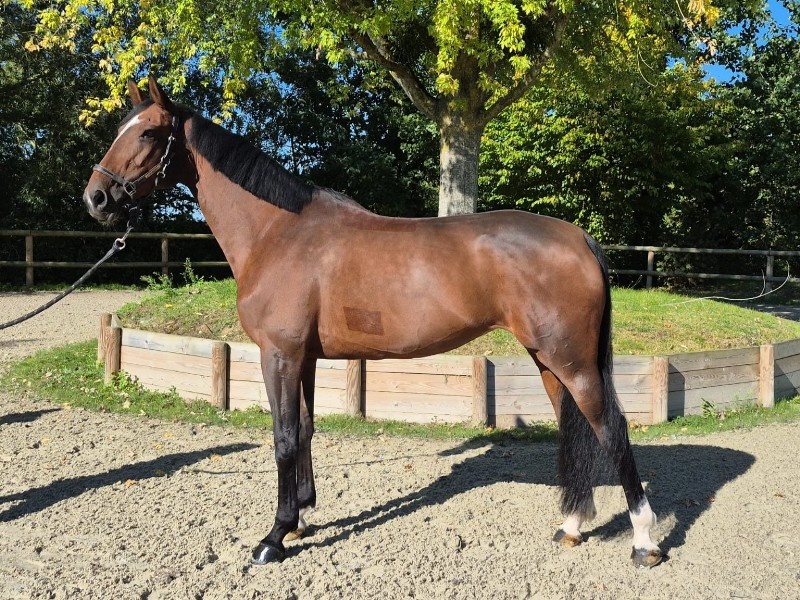 Fabuleuse Des Etangs profile photo