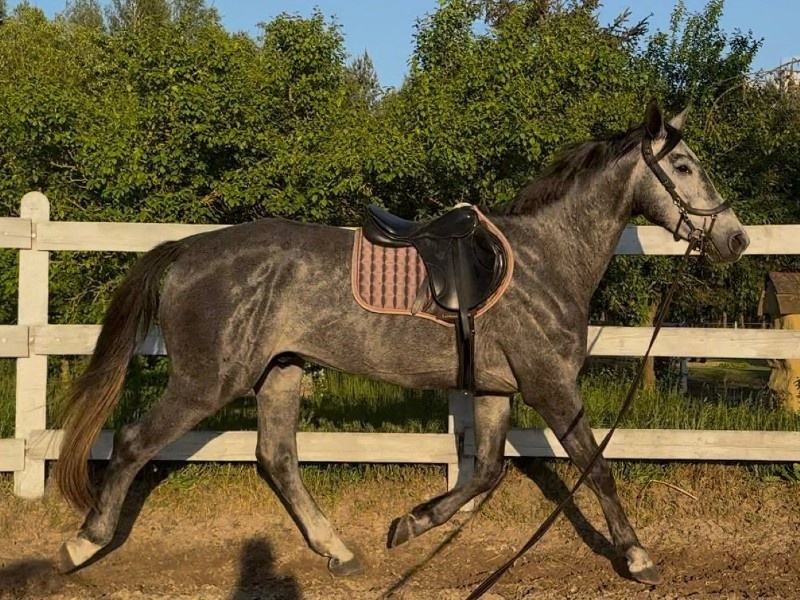 Erdon GR profile photo 