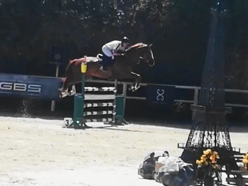 Happy D'antilly profile photo 