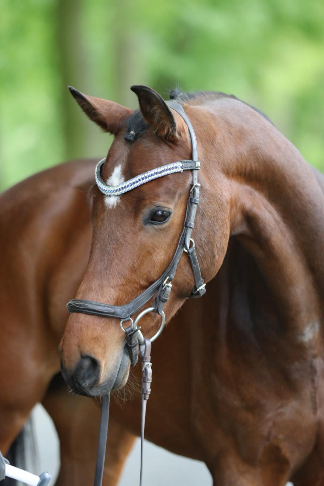 Oscar H profile photo 