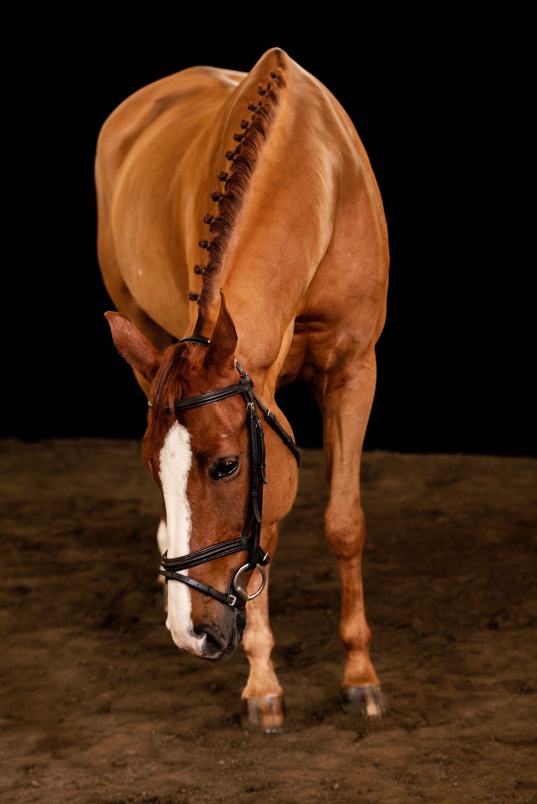 Sinderella S profile photo 