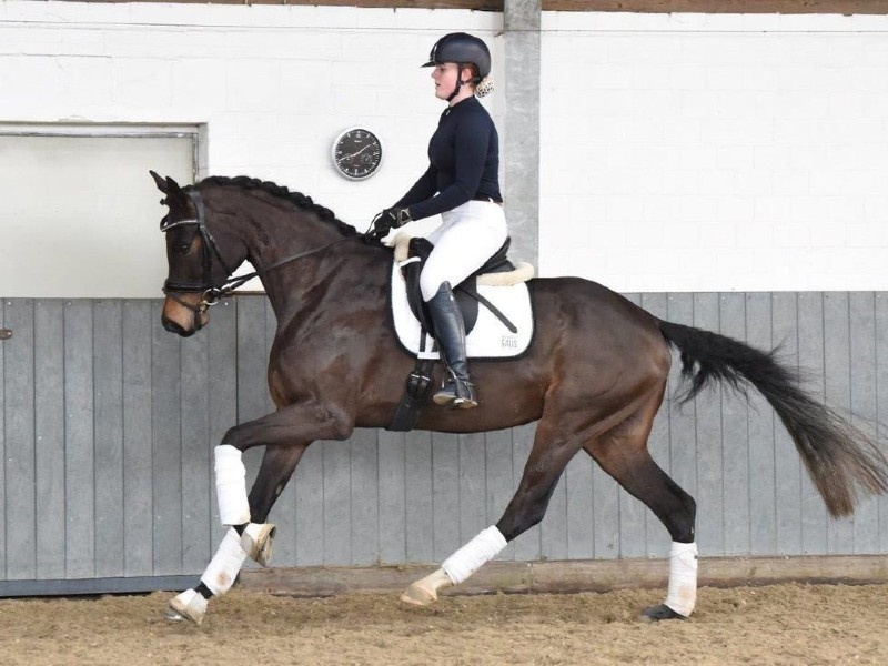 Fillyfee profile photo 