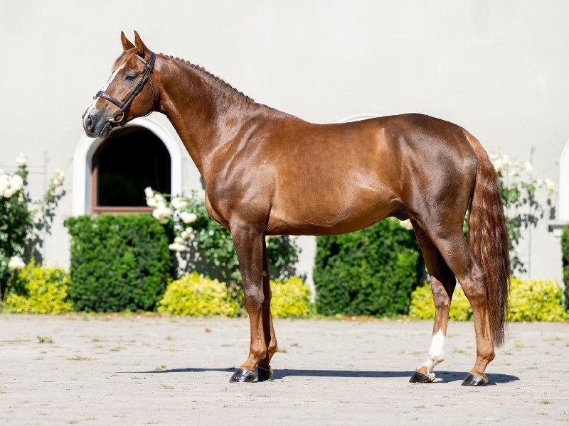 Proper profile photo 