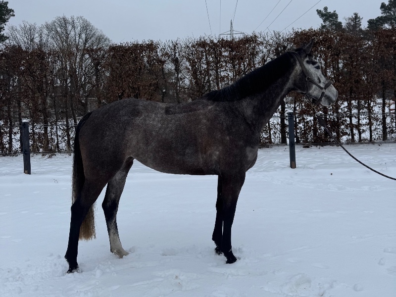 Chloe la belle profile photo