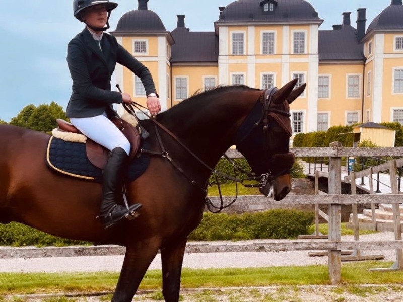 Diplomatic Casaco profile photo