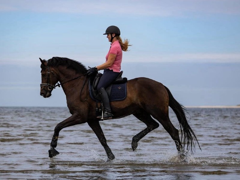 Koblenz profile photo 