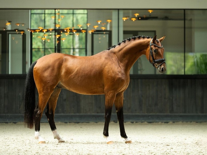 Franko profile photo