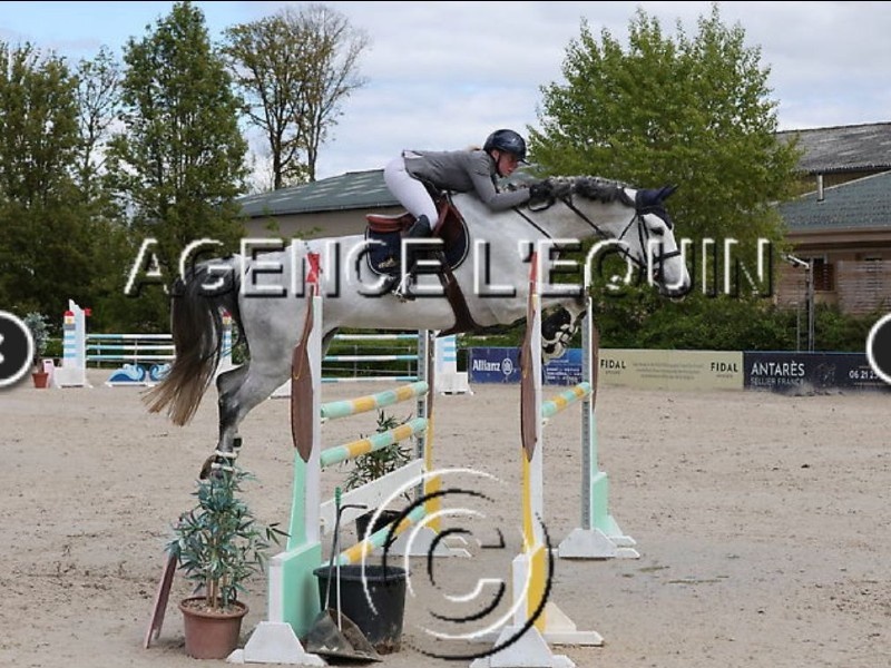 Ladino profile photo 