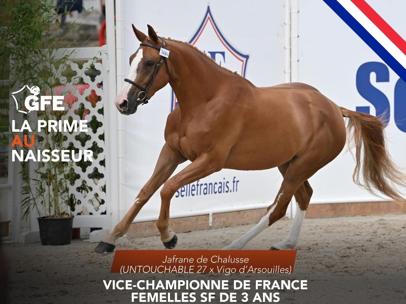 Jafrane De Chalusse profile photo 