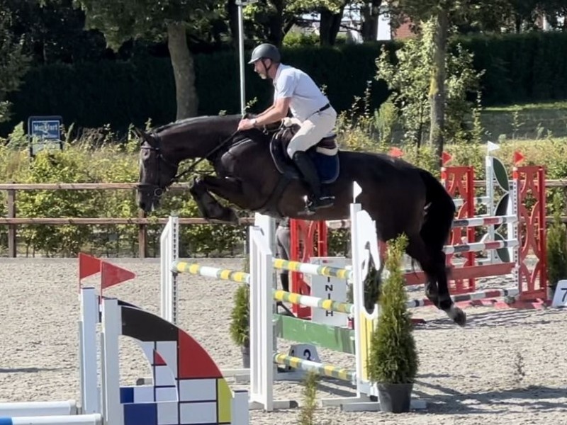 Roxet VDE profile photo 