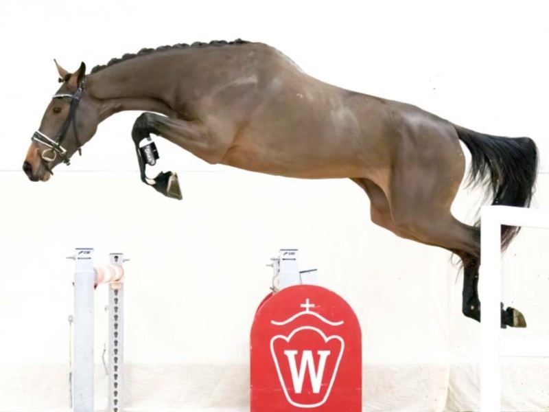 Princess profile photo 