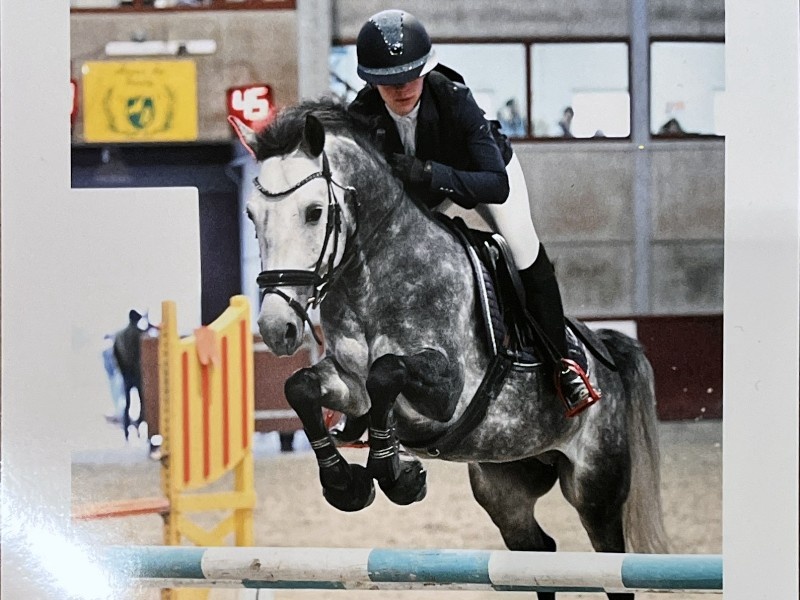 A - il est Beau de l’Otri profile photo 