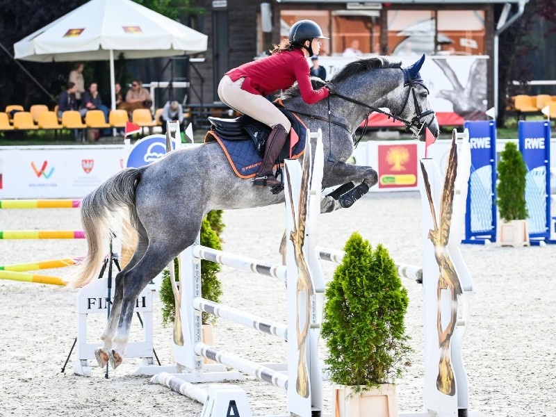 Hikato profile photo 