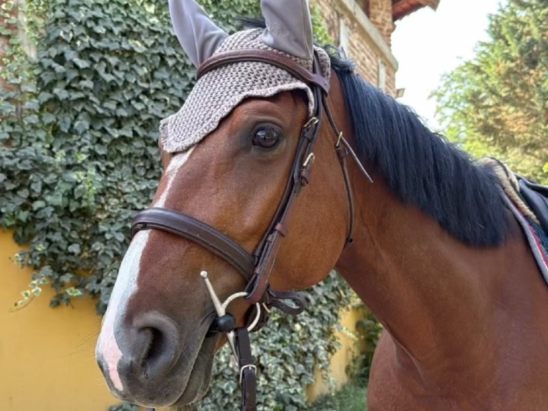 Bluecenta profile photo