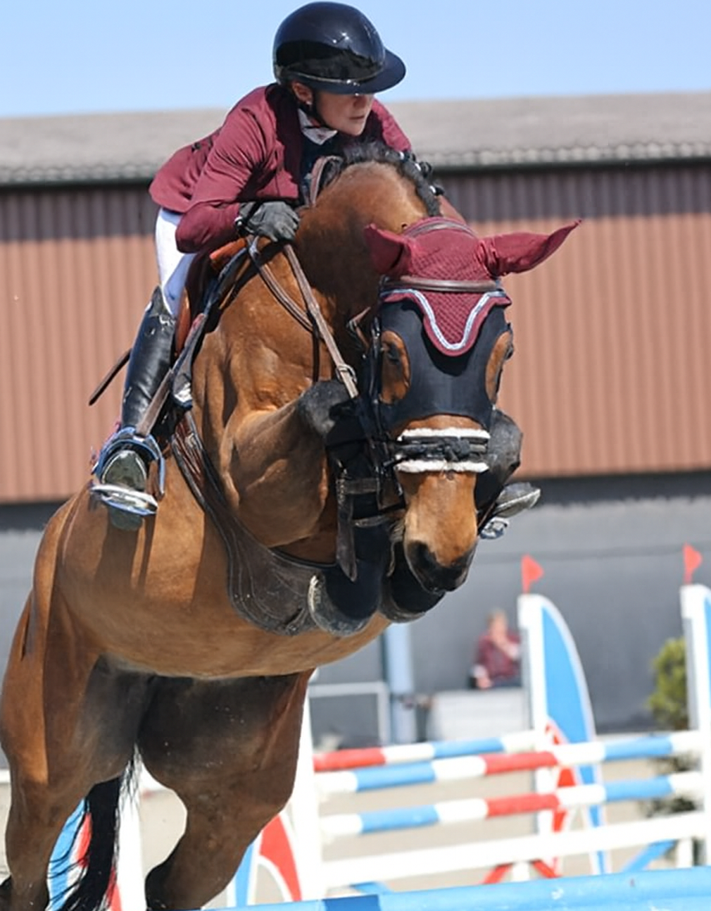 Frivolle Manciaise profile photo