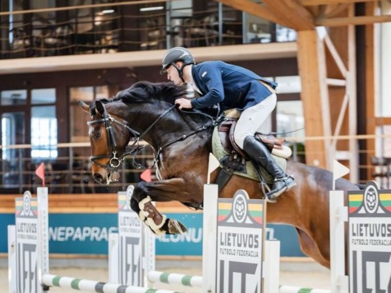 Adommelee profile photo