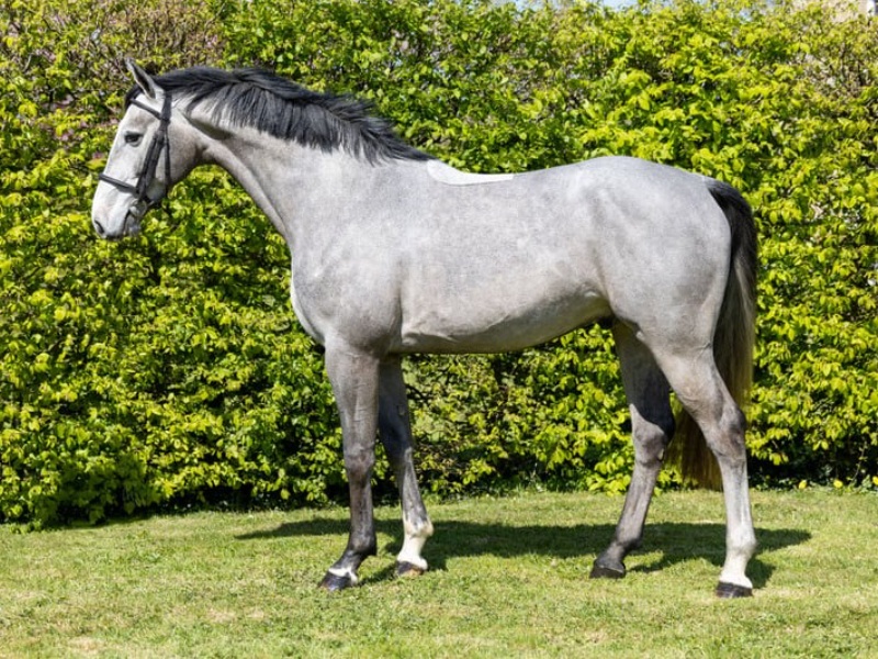 Lord Memory For You profile photo