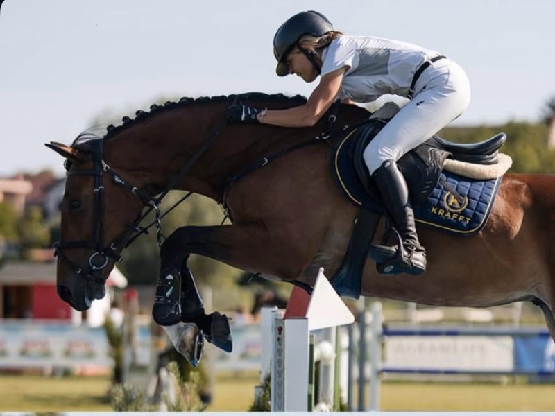 Salidor VDF profile photo