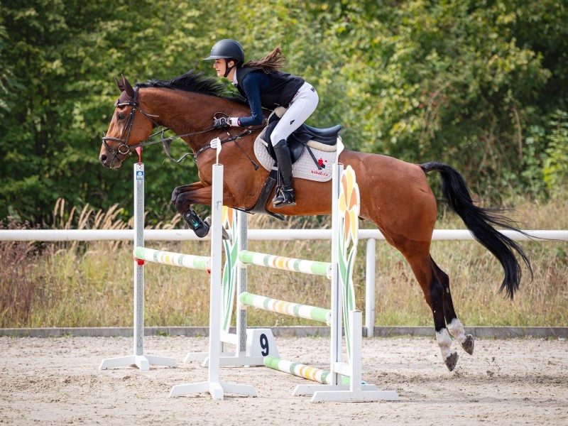 Texas VD Withoeve profile photo