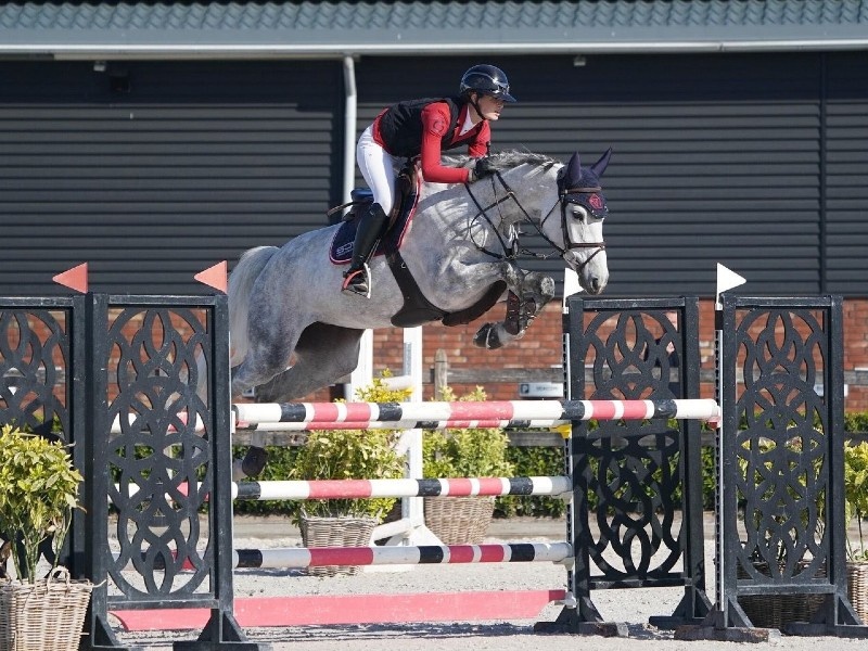 Naughty Girl V/d Edcohoeve Z profile photo 