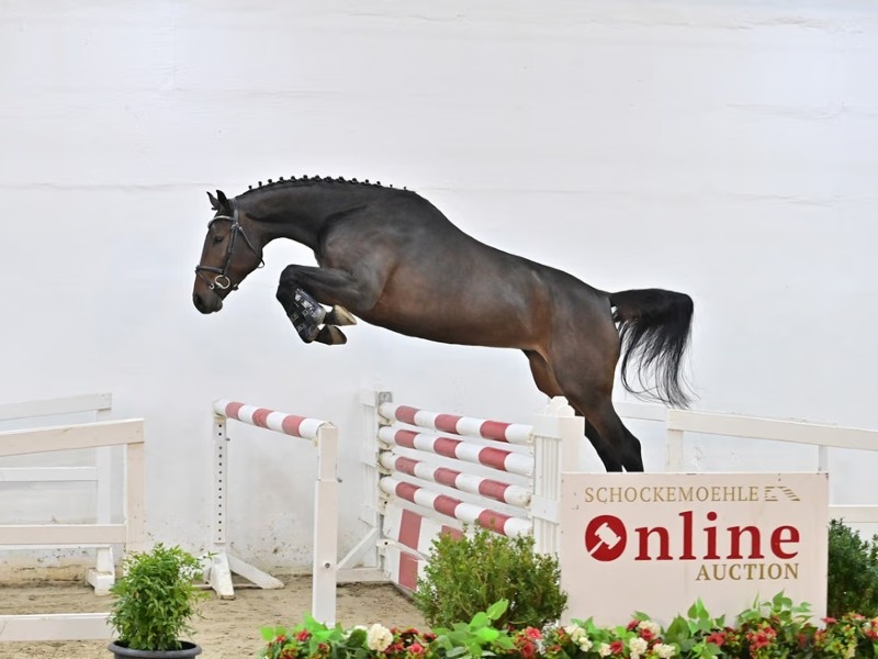 Contha Mia PS profile photo 