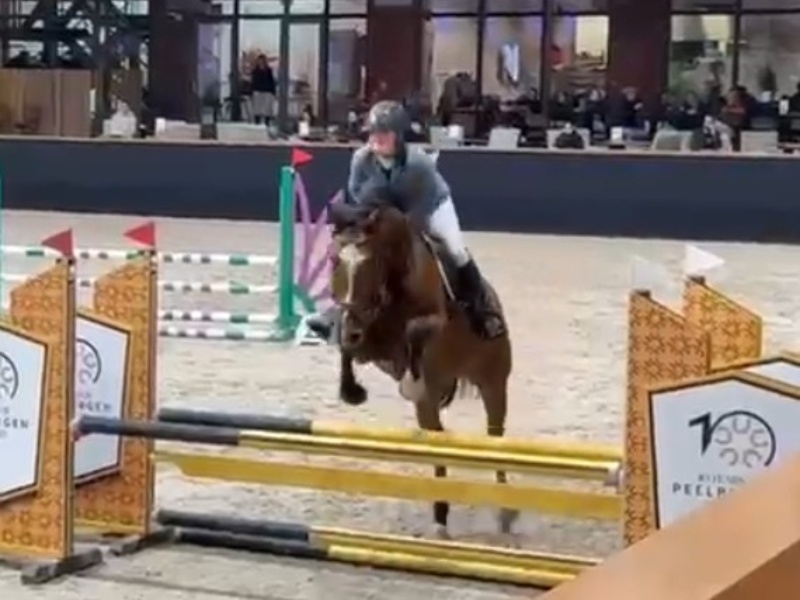 Chilli Weather Z profile photo