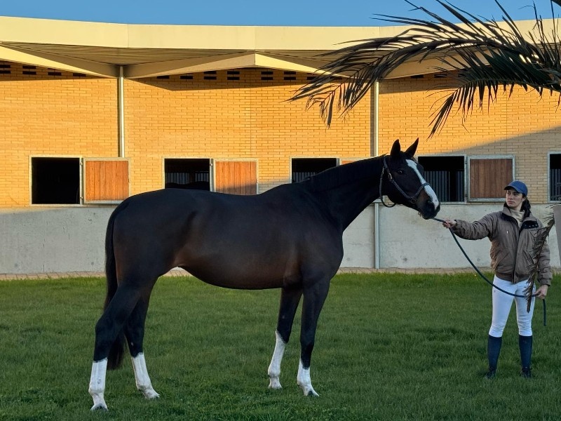 D'attaque De La Lone profile photo