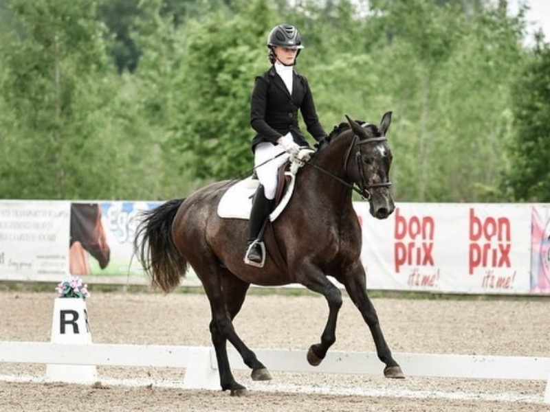 Queen of Drama profile photo