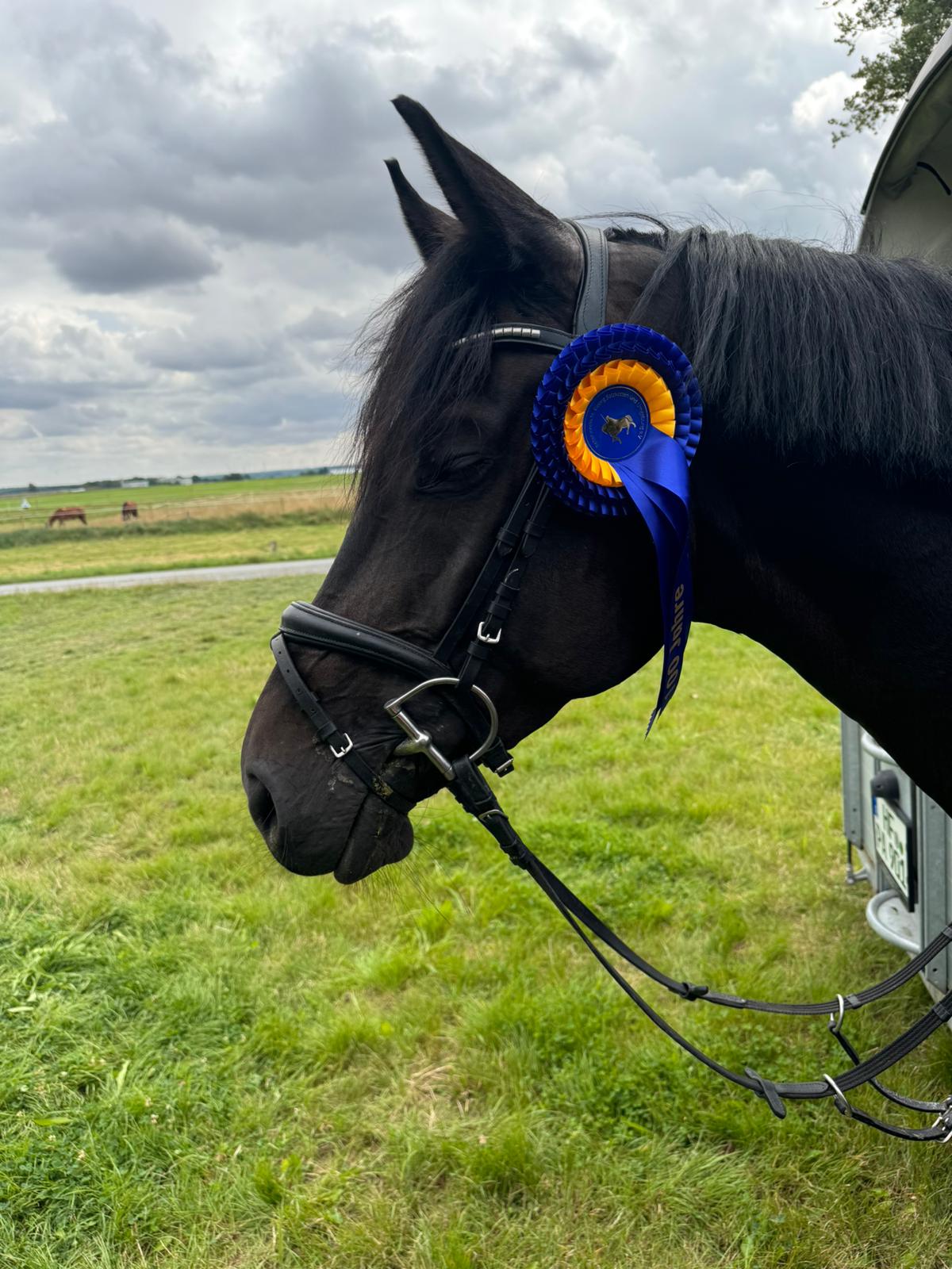 Diatendro's Clara profile photo 