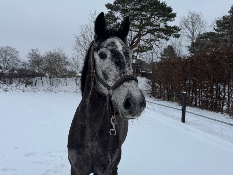 Chloe la belle profile photo 