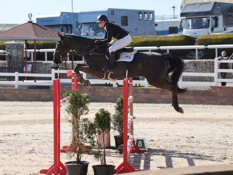 Mexx van het Groene Dak profile photo