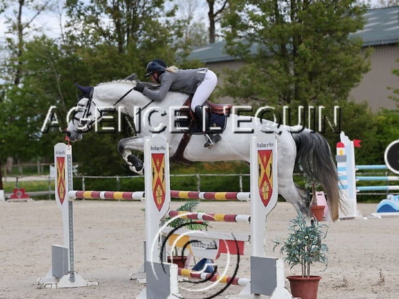 Ladino profile photo 