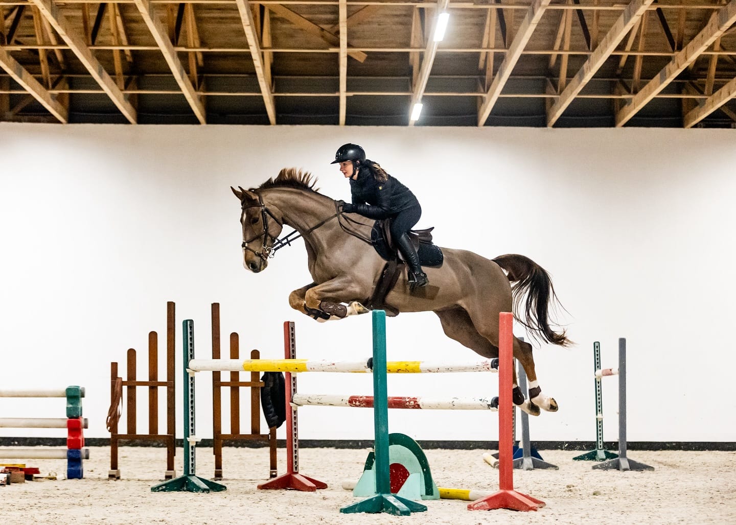 Ironman Meloni profile photo