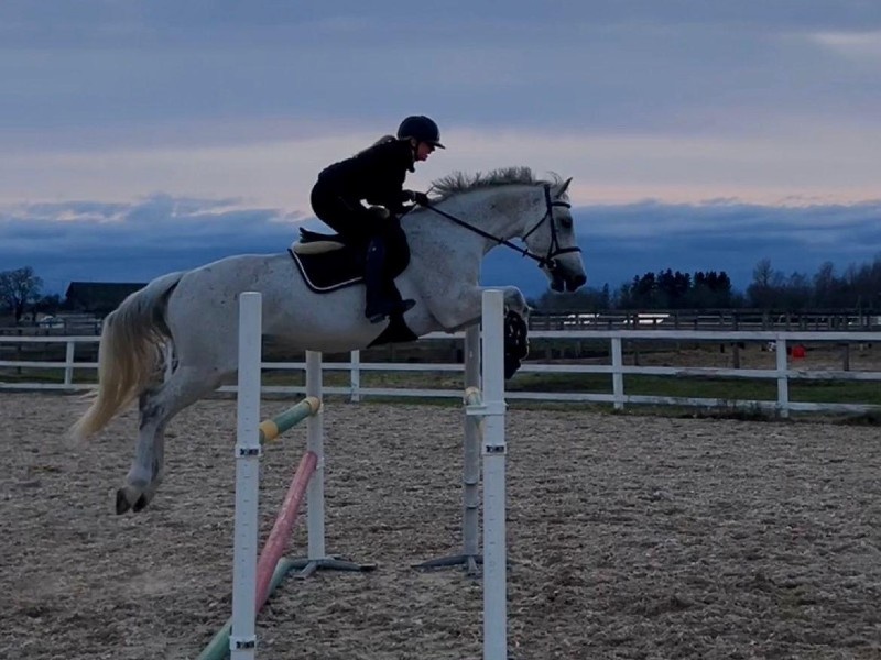 Edeavour Mondria's profile photo 